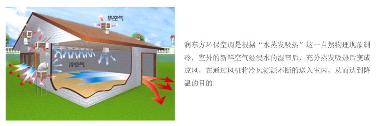 wnsr威尼斯·(集团)有限公司-官方网站RDF-18C-11/S(图2)