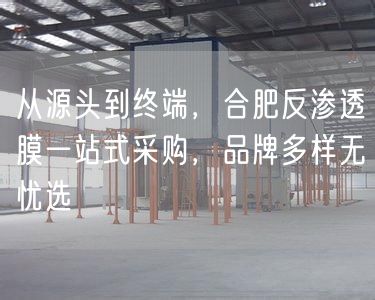 从源头到终端，合肥反渗透膜一站式采购，品牌多样无忧选(图1)