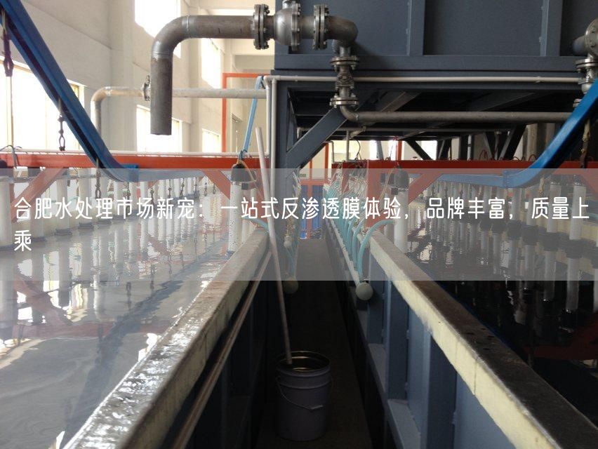 合肥水处理市场新宠：一站式反渗透膜体验，品牌丰富，质量上乘(图1)