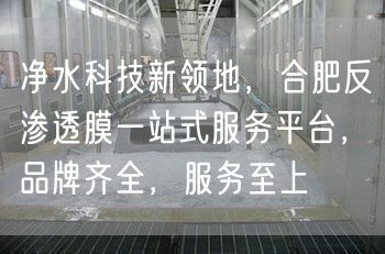 净水科技新领地，合肥反渗透膜一站式服务平台，品牌齐全，服务至上(图1)