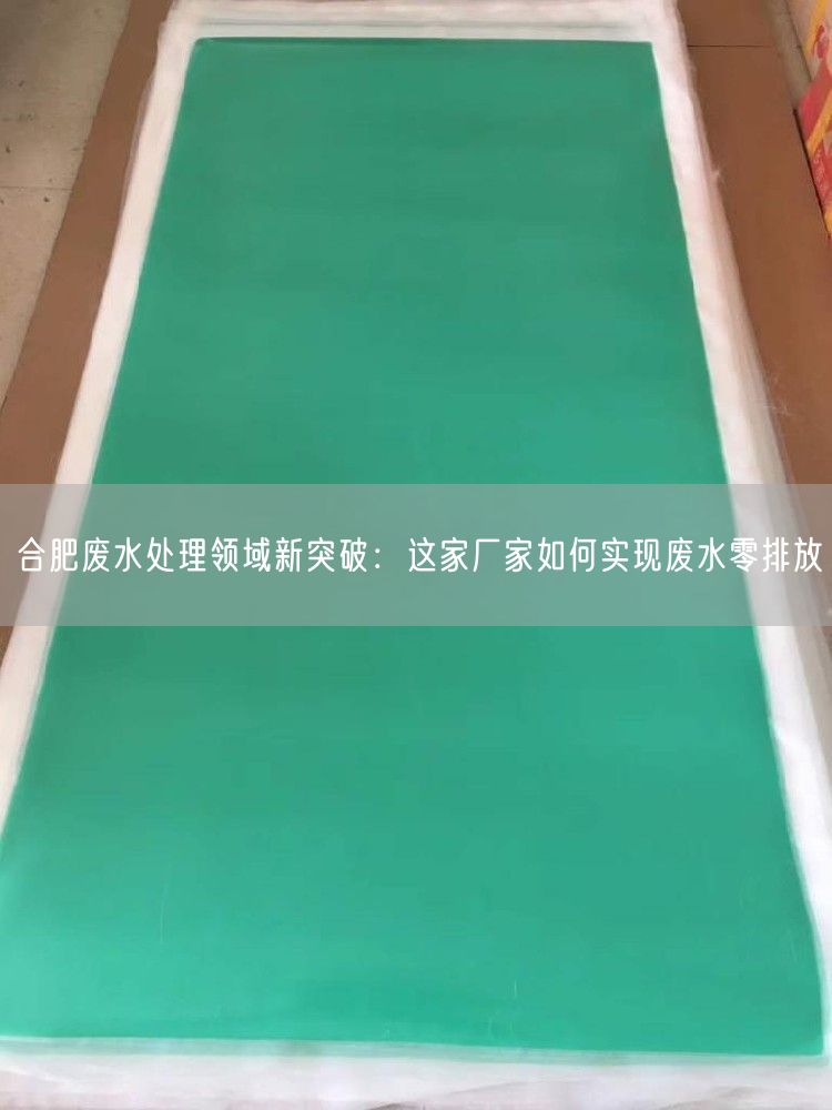 合肥废水处理领域新突破：这家厂家如何实现废水零排放(图1)